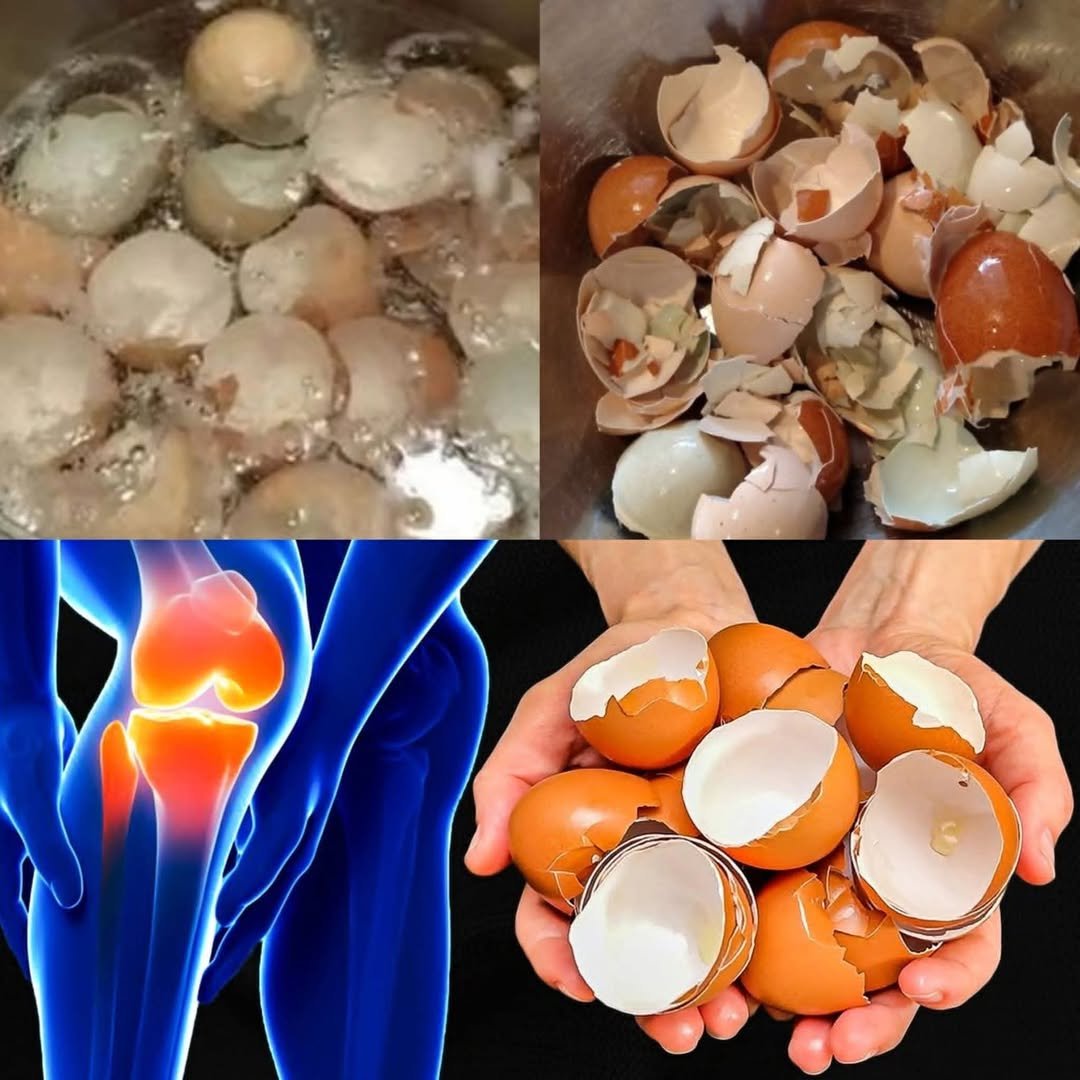 Eggshells and Joint Pain: What You Should Know About This Popular Home Remedy