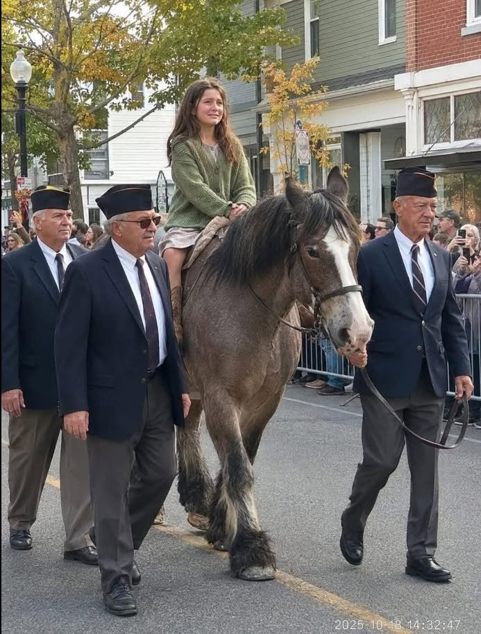 A Committee Banned a Fatherless Girl and Her One-Eyed Horse From the Parade Then Thirty Veterans Arrived to Escort Her