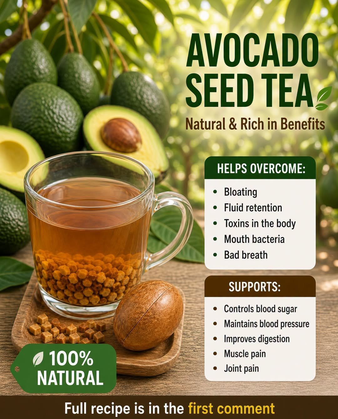 Avocado Seed Tea: What You Should Know Before Drinking It